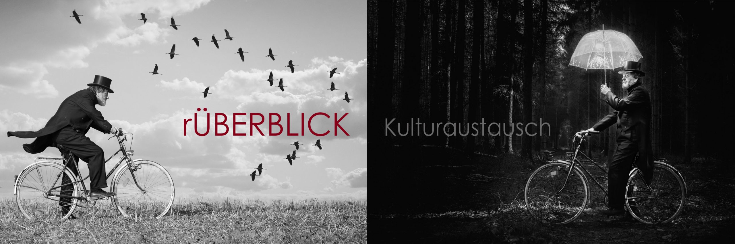 rUEBERBLICK_haeder_geteilt-scaled