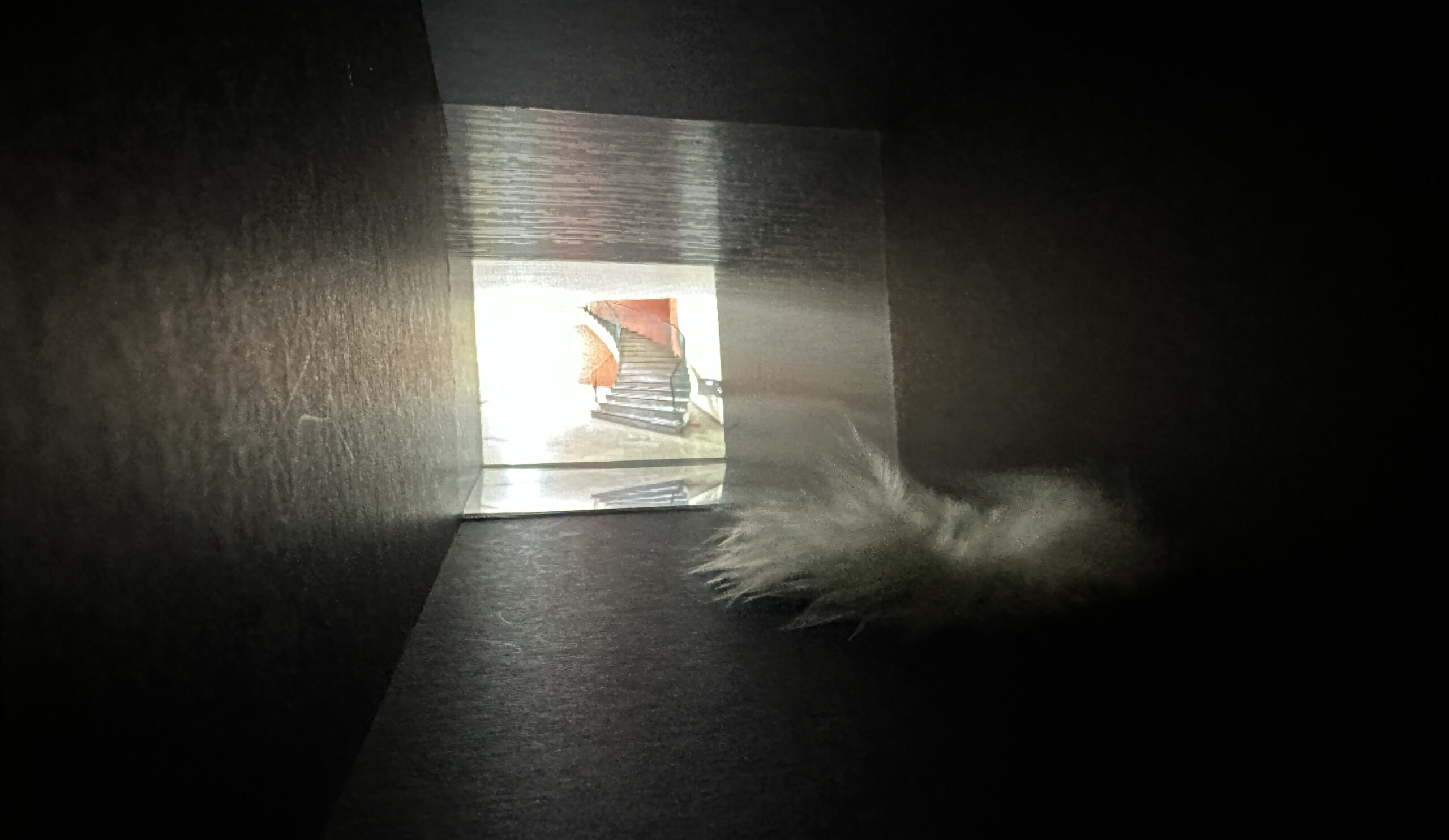 Kartontheater, im Hintergrund ist eine kleine Leinwand zu sehen, davor liegt eine Feder